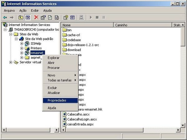 Site web padrão 2